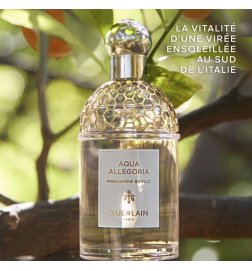 Aqua Allegoria Mandarine Basilic - Eau de Toilette Aqua Allegoria Mandarine Basilic - Eau de Toilette